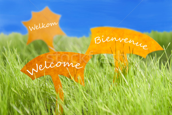 Three Labels With Welcome In Different Languages And Blue Sky Stock photo © Nelosa