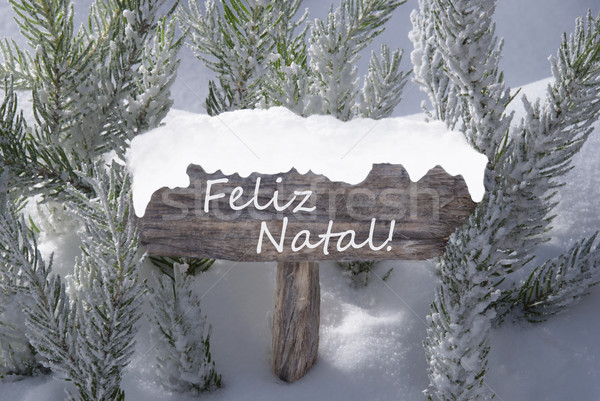 Sign Snow Fir Tree Feliz Natal Means Merry Christmas Stock photo © Nelosa