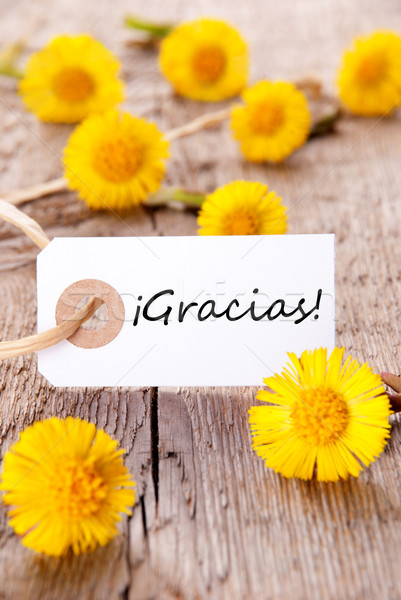 Yellow Flowers with Gracias Stock photo © Nelosa