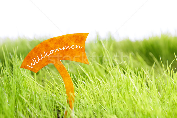 Stock photo: Label With German Willkommen Which Means Welcome On Green Grass