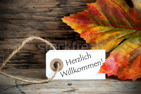 Autumn Label with Herzlich Willkommen Stock photo © Nelosa