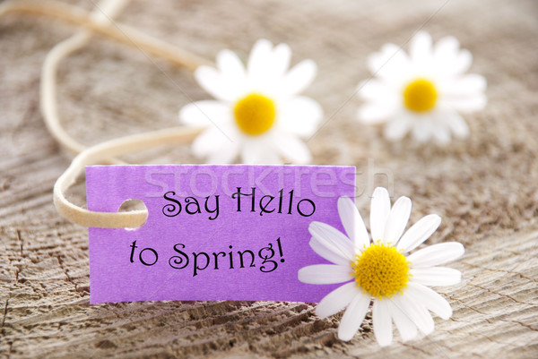 Purple Label With Life Quote Say Hello To Spring And Marguerite Blossoms Stock photo © Nelosa