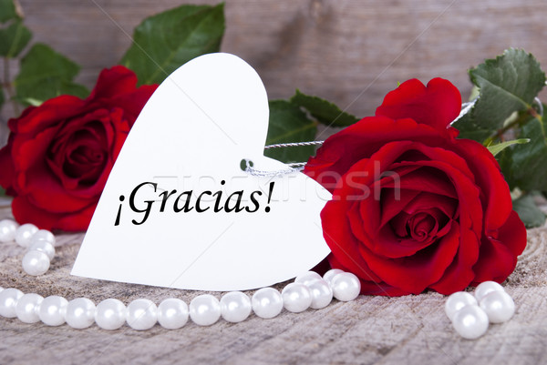 Background with Gracias Stock photo © Nelosa