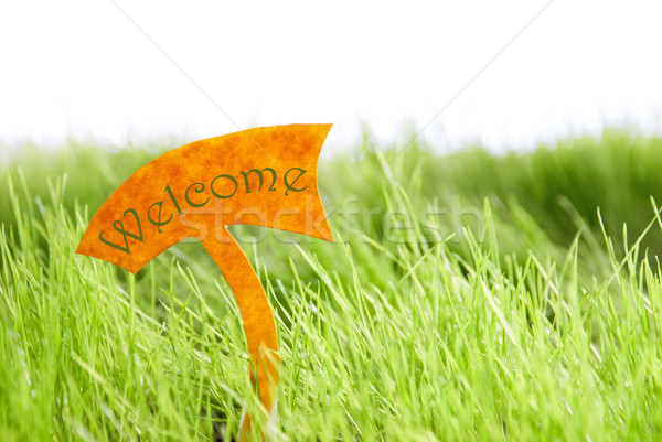 Label With Green Welcome On Green Grass Stock photo © Nelosa