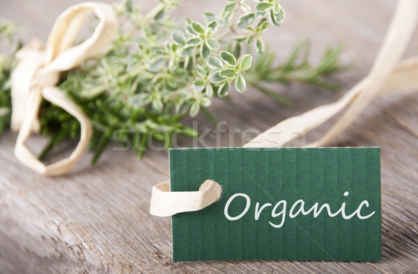 green label with organic Stock photo © Nelosa