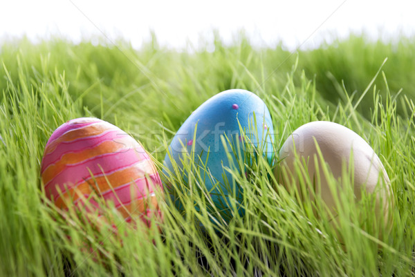 Three Colorful Easter Eggs On Green Gras Stock photo © Nelosa