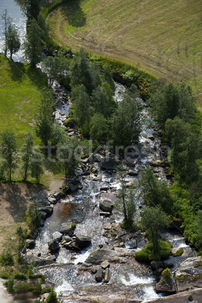 river from above Stock photo © Nelosa