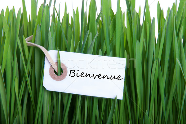 Label with Bienvenue Stock photo © Nelosa