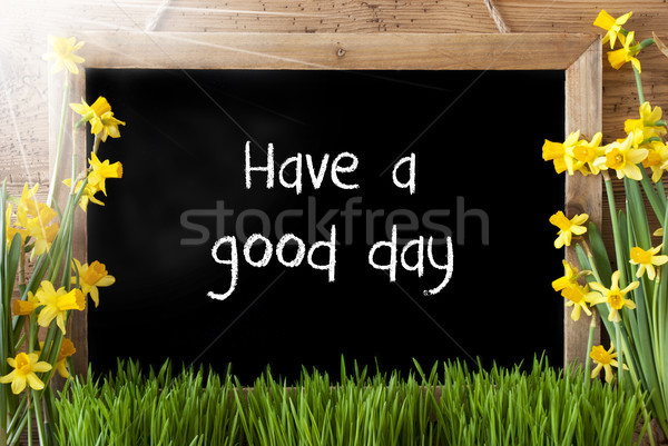 Sunny Spring Narcissus, Chalkboard, Text Have A Good Time Stock photo © Nelosa