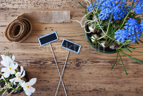 Flowers, Signs, Copy Space For Advertisement Stock photo © Nelosa