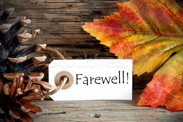 Autumn Labwl with Farewell Stock photo © Nelosa