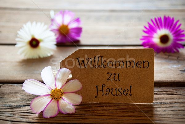 Label With German Text Willkommen Zu Hause With Cosmea Blossoms Stock photo © Nelosa