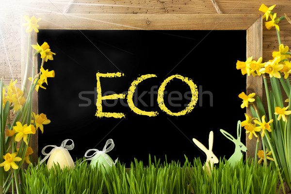 Napos húsvéti tojás nyuszi szöveg öko iskolatábla Stock fotó © Nelosa