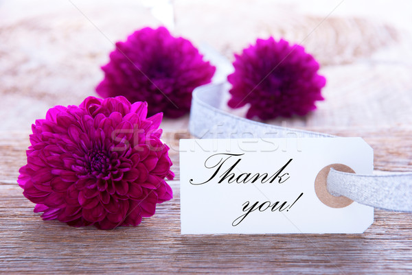 Etykiety dziękuję fioletowy kwiaty kwiaty miłości Zdjęcia stock © Nelosa