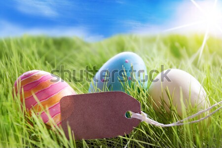 Three colorful Easter Eggs With Empty Label For Copy Space Stock photo © Nelosa