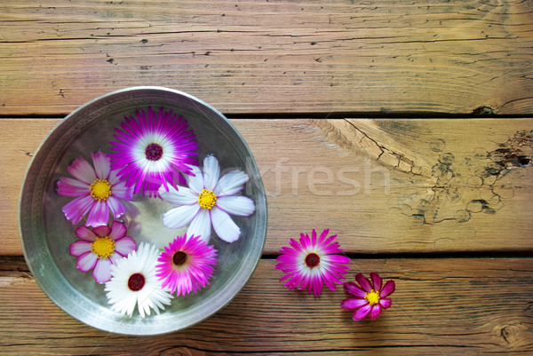 Stock photo: Silver Bowl With Cosmea Blossoms And Copy Space