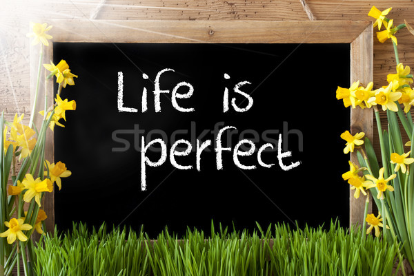 Sunny Spring Narcissus, Chalkboard, Text Life Is Perfect Stock photo © Nelosa