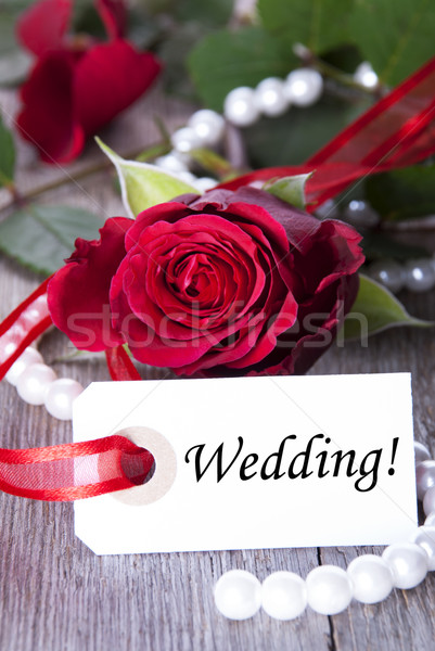 Etiket düğün güller çiçekler gül doğa Stok fotoğraf © Nelosa