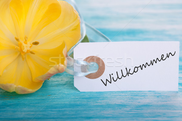 Label with Willkommen Stock photo © Nelosa