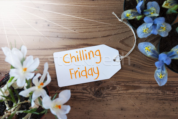Sunny Flowers, Label, Text Chilling Friday Stock photo © Nelosa