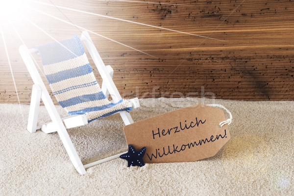 Summer Sunny Label, Willkommen Means Welcome Stock photo © Nelosa