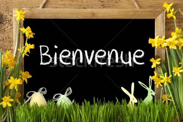 Narcissus, Easter Egg, Bunny, Bienvenue Means Welcome Stock photo © Nelosa