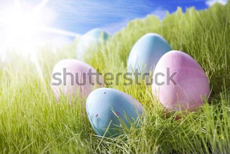 Foto stock: Cuatro · decorativo · huevos · de · Pascua · soleado · hierba · verde · verde