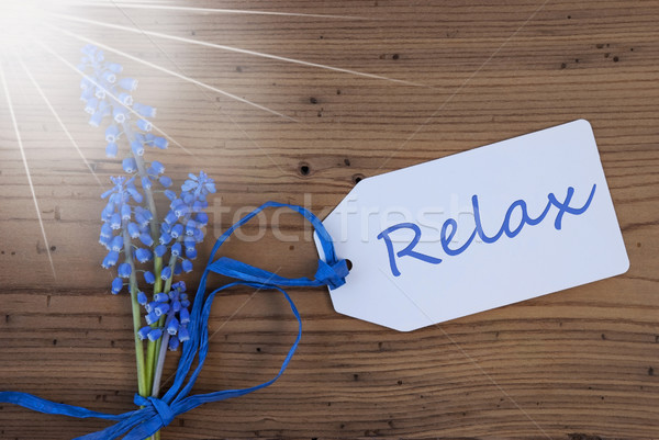 Sunny Srping Grape Hyacinth, Label, Relax Stock photo © Nelosa