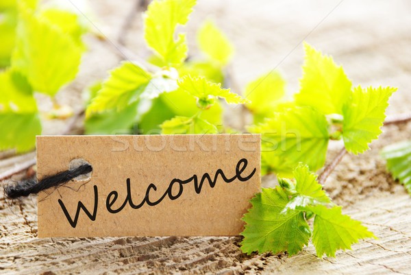 label with welcome Stock photo © Nelosa