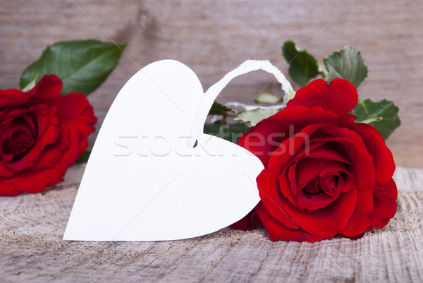 White Tag with Roses Stock photo © Nelosa