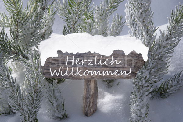 Christmas Sign Snow Fir Tree Willkommen Means Welcome Stock photo © Nelosa