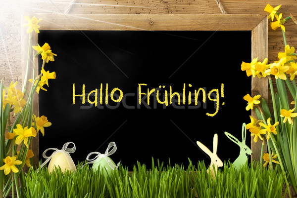 Foto stock: Soleado · huevo · de · Pascua · vacaciones · Hola · primavera · pizarra