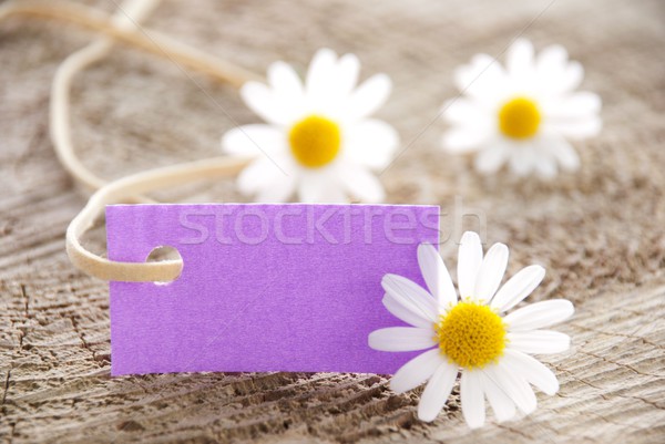 Roxo etiqueta branco flores cópia espaço primavera Foto stock © Nelosa