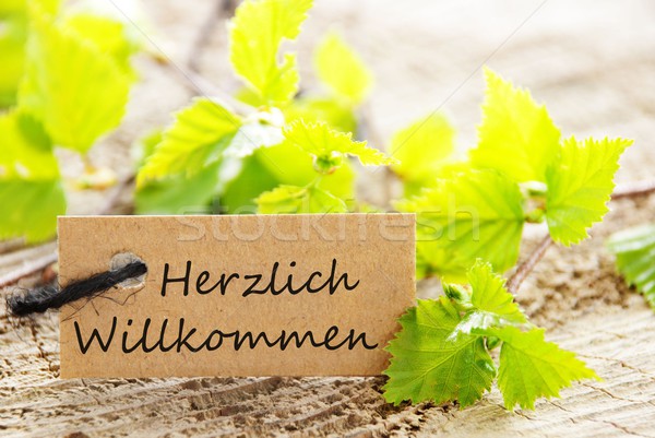 label with Herzlich Willkommen Stock photo © Nelosa