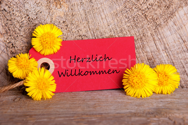 Red Tag with Herzlich Willkommen Stock photo © Nelosa