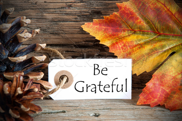 Címke hálás őszi textúra fa fa Stock fotó © Nelosa