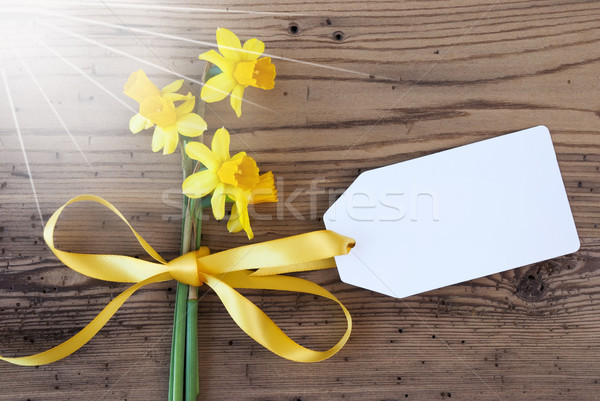 Sunny Yellow Spring Narcissus, Label, Copy Space Stock photo © Nelosa