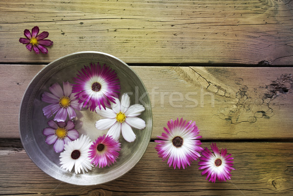 Stok fotoğraf: Gümüş · çanak · bo · metin · burada