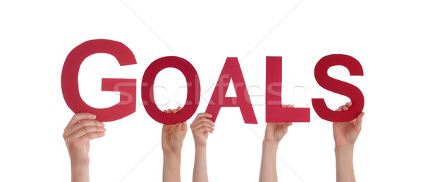 People Holding Goals Stock photo © Nelosa