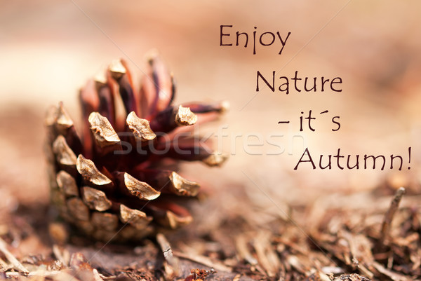 Fir Cone with the Words Enjoy Nature, its Autumn Stock photo © Nelosa