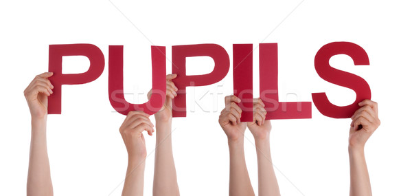 Many People Hands Holding Red Straight Word Pupils Stock photo © Nelosa