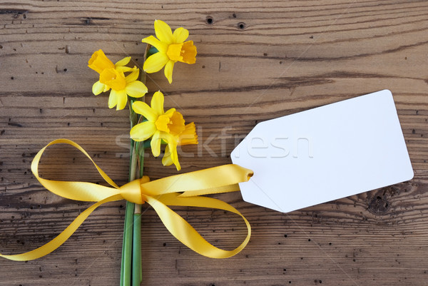 Yellow Spring Narcissus, Label, Copy Space Stock photo © Nelosa