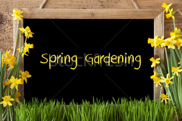 Blume Tafel Text Frühling Gartenarbeit Tafel Stock foto © Nelosa