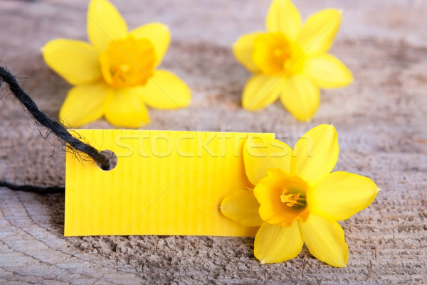 Stock photo: Yellow Empty Tag
