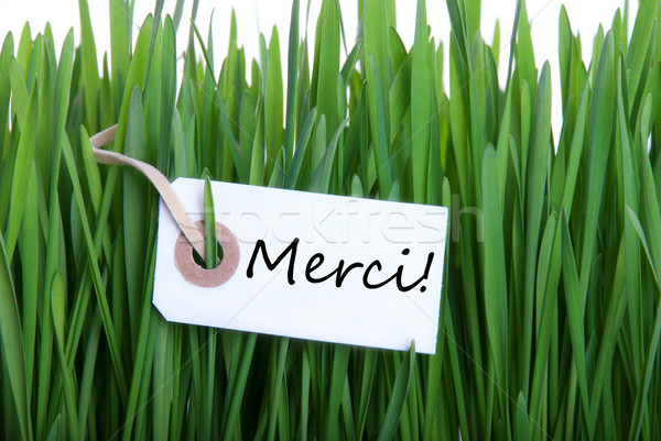 Grass background with Merci Stock photo © Nelosa