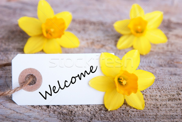 Welcome Sign Stock photo © Nelosa