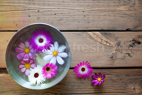 Silver Bowl With Cosmea Blossoms And Copy Space Stock photo © Nelosa