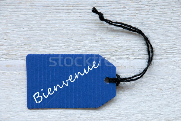 Blue Label With French Text Bienvenue Means Welcome Stock photo © Nelosa