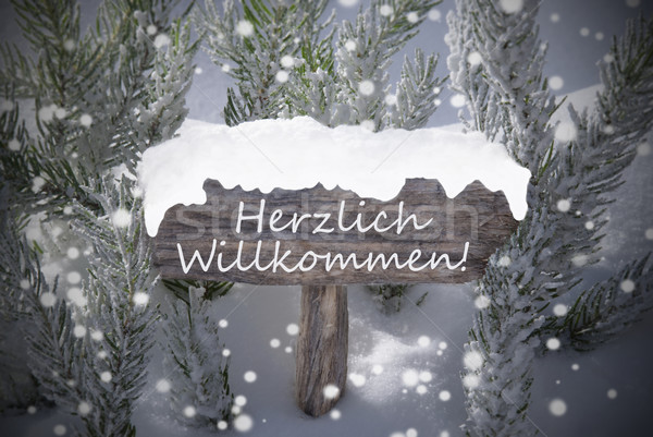 Christmas Sign Snowflakes Fir Tree Willkommen Means Welcome Stock photo © Nelosa