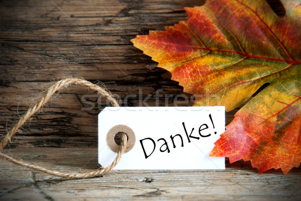 Autumn Label with Danke Stock photo © Nelosa